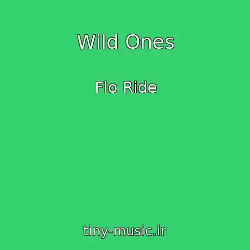 کاور آهنگ Wild Ones از Flo Ride