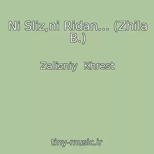 کاور آهنگ Nі Slіz,nі Ridan... (Zhila B.) از Zalіzniy  Khrest