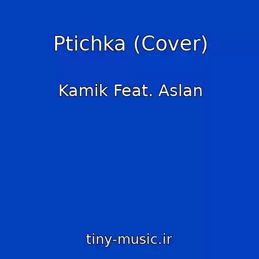 کاور آهنگ Ptichka (Cover) از Kamik Feat. Aslan
