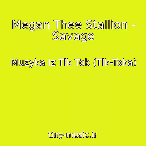 کاور آهنگ Megan Thee Stallion - Savage از Muzyka Iz Tik Tok (Tik-Toka)