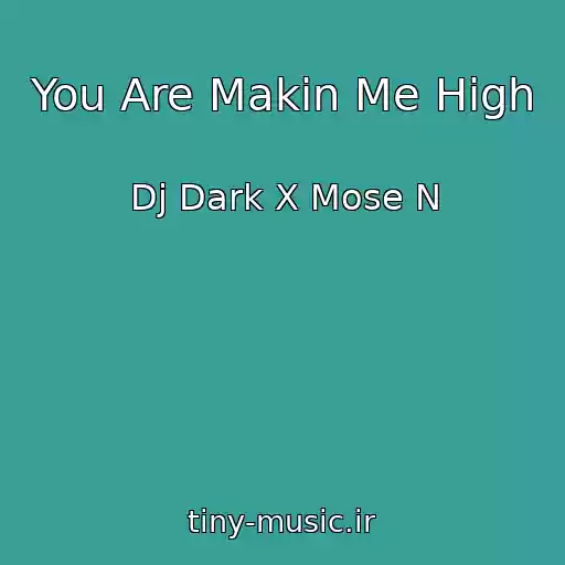 کاور آهنگ You Are Makin Me High از Dj Dark X Mose N