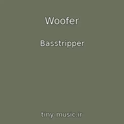کاور آهنگ Woofer از Basstripper