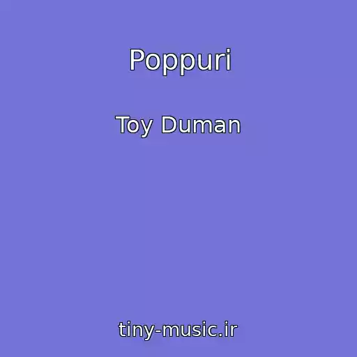 کاور آهنگ Poppuri از Toy Duman
