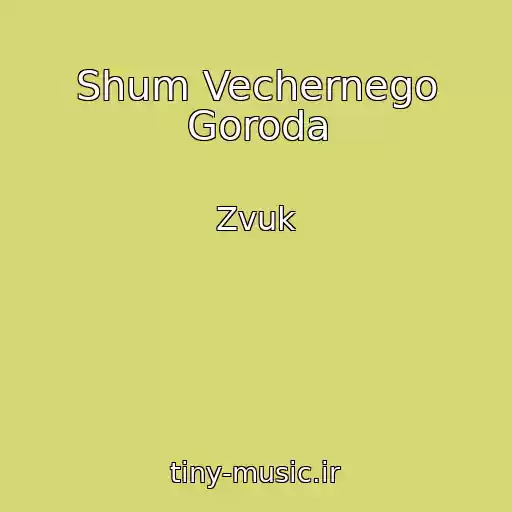 کاور آهنگ Shum Vechernego Goroda از Zvuk