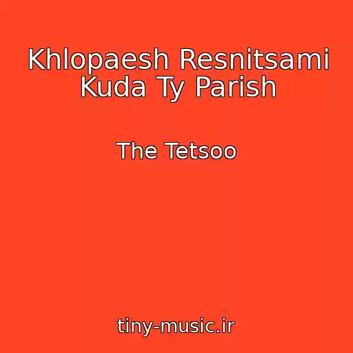 کاور آهنگ Khlopaesh Resnitsami Kuda Ty Parish از The Tetsoo
