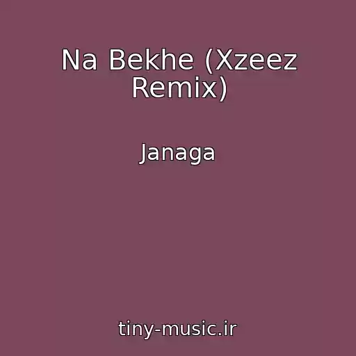 کاور آهنگ Na Bekhe (Xzeez Remix) از Janaga