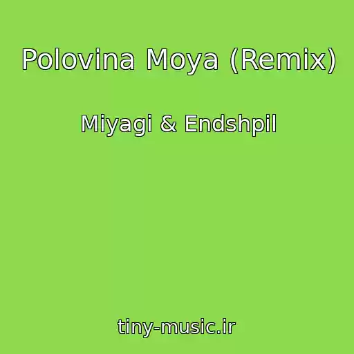 کاور آهنگ Polovina Moya (Remix) از Miyagi & Endshpil