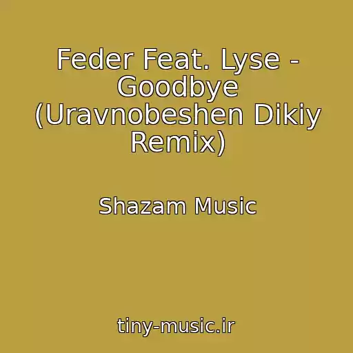 کاور آهنگ Feder Feat. Lyse - Goodbye (Uravnobeshen Dikiy Remix) از Shazam Music