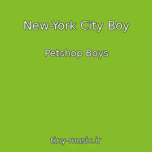 کاور آهنگ New-York City Boy از Petshop Boys