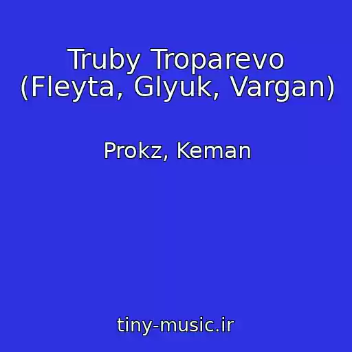 کاور آهنگ Truby Troparevo (Fleyta, Glyuk, Vargan) از Prokz, Keman