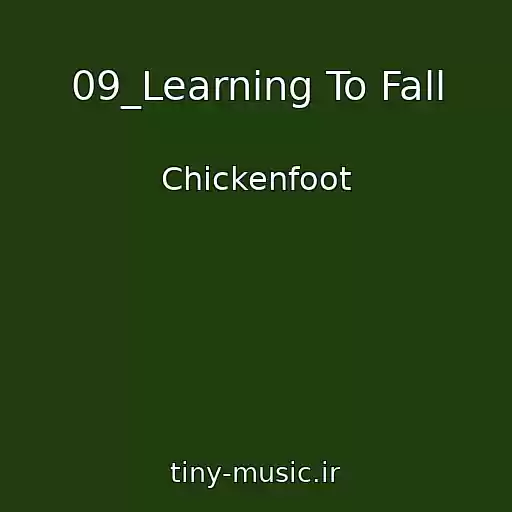 کاور آهنگ 09_Learning To Fall از Chickenfoot