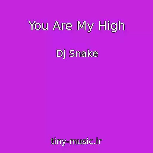کاور آهنگ You Are My High از Dj Snake