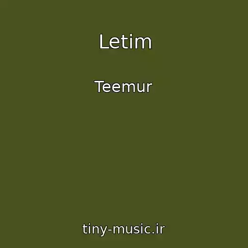 کاور آهنگ Letim از Teemur