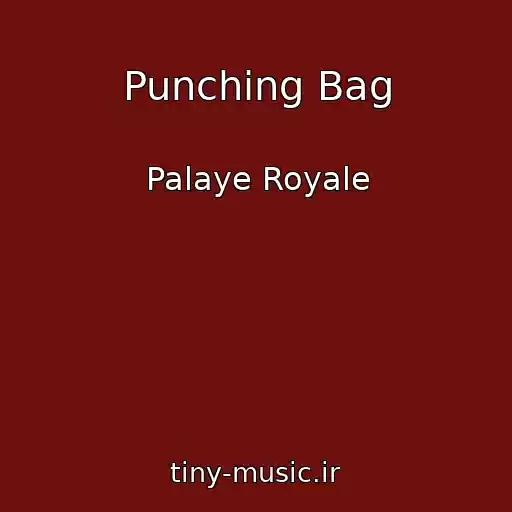کاور آهنگ Punching Bag از Palaye Royale