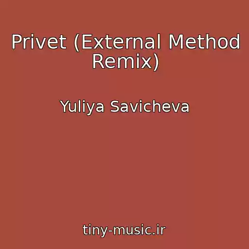 کاور آهنگ Privet (External Method Remix) از Yuliya Savicheva