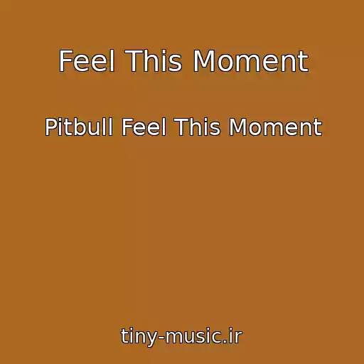 کاور آهنگ Feel This Moment از Pitbull Feel This Moment