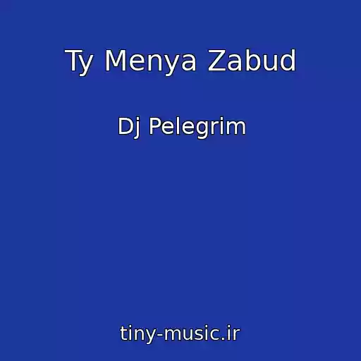 کاور آهنگ Ty Menya Zabud از Dj Pelegrim