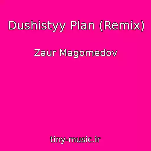 کاور آهنگ Dushistyy Plan (Remix) از Zaur Magomedov