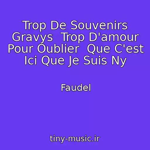 کاور آهنگ Trop De Souvenirs Gravys  Trop D'amour Pour Oublier  Que C'est Ici Que Je Suis Ny از Faudel