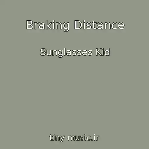 کاور آهنگ Braking Distance از Sunglasses Kid