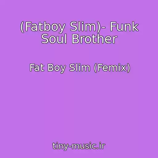 کاور آهنگ (Fatboy Slim)- Funk Soul Brother از Fat Boy Slim (Femix)