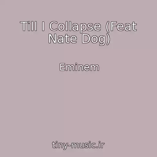 کاور آهنگ Till I Collapse (Feat Nate Dog) از Eminem