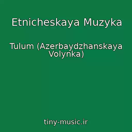 کاور آهنگ Etnicheskaya Muzyka از Tulum (Azerbaydzhanskaya Volynka)