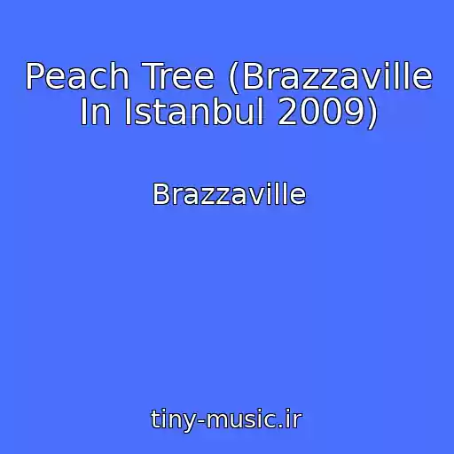 کاور آهنگ Peach Tree (Brazzaville In Istanbul 2009) از Brazzaville