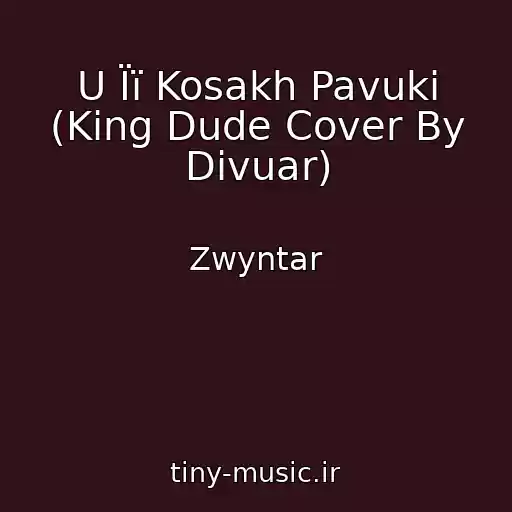 کاور آهنگ U Її Kosakh Pavuki (King Dude Cover By Divuar) از Zwyntar