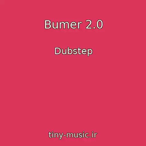 کاور آهنگ Bumer 2.0 از Dubstep