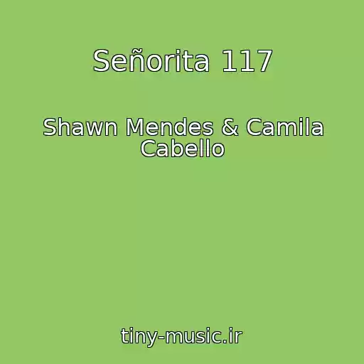 کاور آهنگ Señorita 117 از Shawn Mendes & Camila Cabello