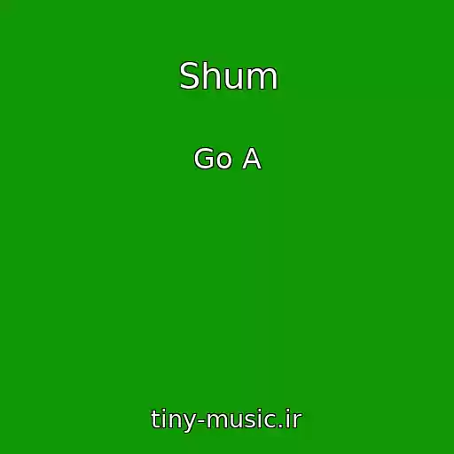کاور آهنگ Shum از Go A