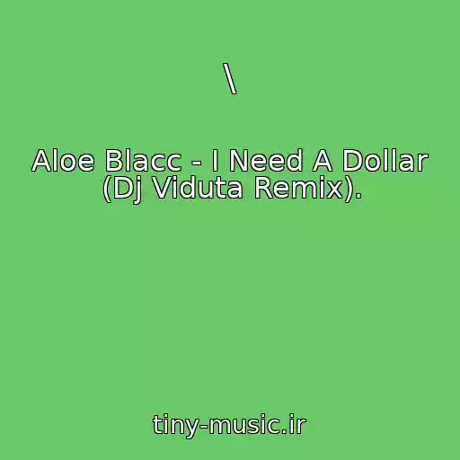 کاور آهنگ \ از Aloe Blacc - I Need A Dollar (Dj Viduta Remix).