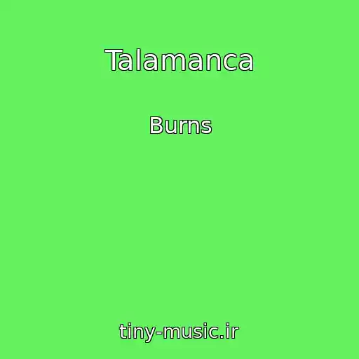 کاور آهنگ Talamanca از Burns