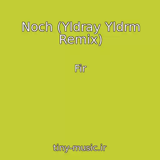 کاور آهنگ Noch (Yldray Yldrm Remix) از Fir