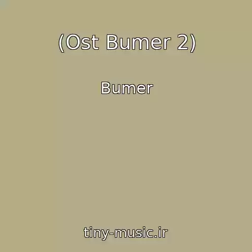 کاور آهنگ (Ost Bumer 2) از Bumer