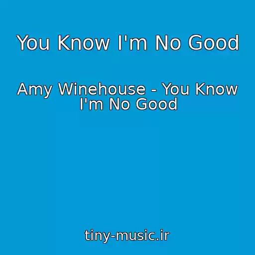 کاور آهنگ You Know I'm No Good از Amy Winehouse - You Know I'm No Good