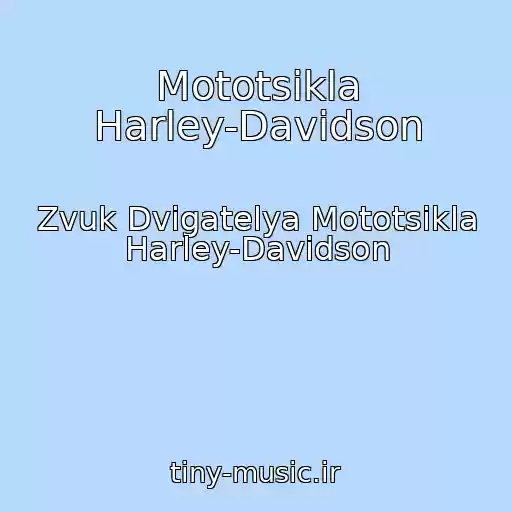 کاور آهنگ Mototsikla Harley-Davidson از Zvuk Dvigatelya Mototsikla Harley-Davidson
