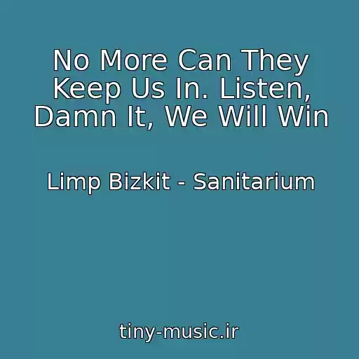 کاور آهنگ No More Can They Keep Us In. Listen, Damn It, We Will Win از Limp Bizkit - Sanitarium