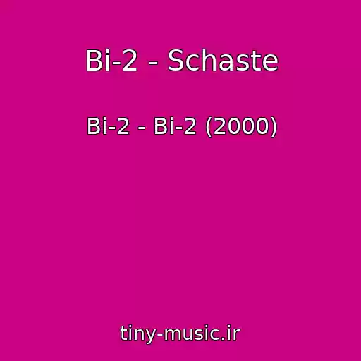 کاور آهنگ Bi-2 - Schaste از Bi-2 - Bi-2 (2000)