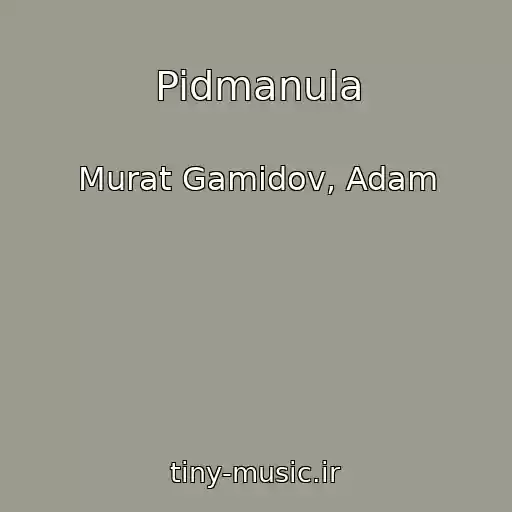 کاور آهنگ Pidmanula از Murat Gamidov, Adam