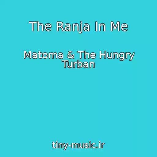 کاور آهنگ The Ranja In Me از Matoma & The Hungry Turban