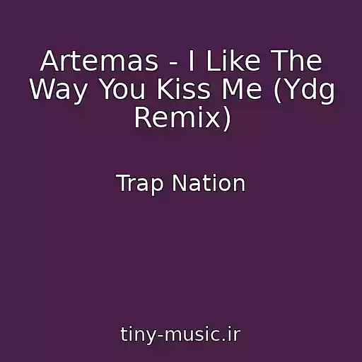 کاور آهنگ Artemas - I Like The Way You Kiss Me (Ydg Remix) از Trap Nation