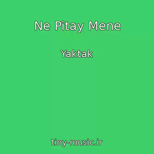 کاور آهنگ Ne Pitay Mene از Yaktak