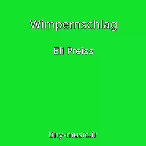 کاور آهنگ Wimpernschlag از Eli Preiss