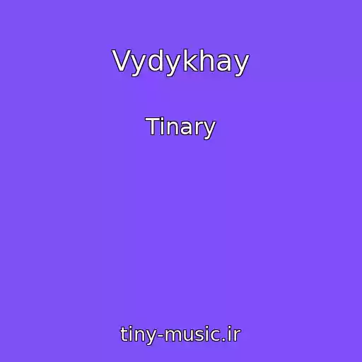 کاور آهنگ Vydykhay از Tinary