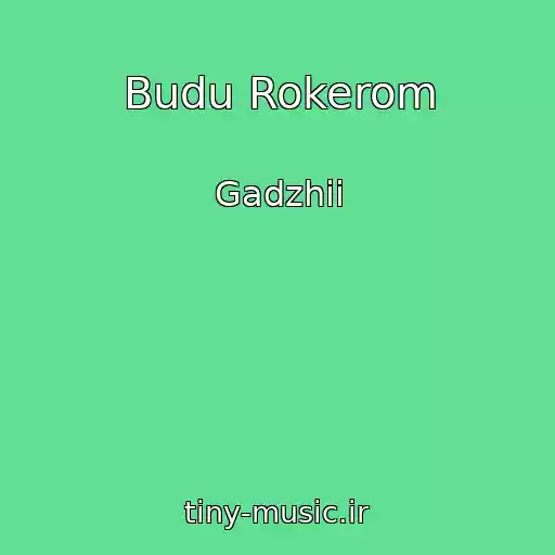 کاور آهنگ Budu Rokerom از Gadzhii