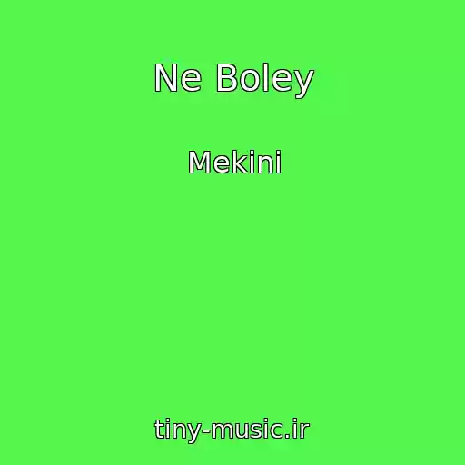 کاور آهنگ Ne Boley از Mekini