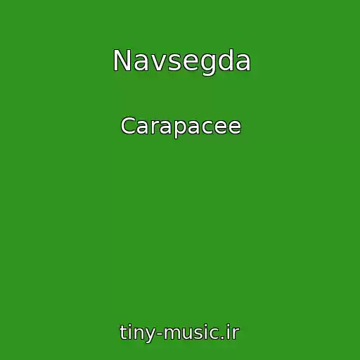 کاور آهنگ Navsegda از Carapacee