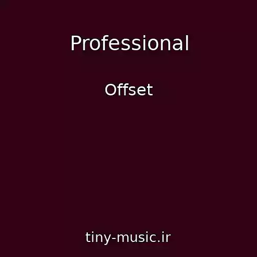 کاور آهنگ Professional از Offset
